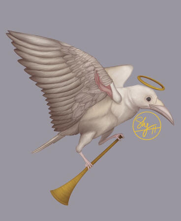 The White Raven
