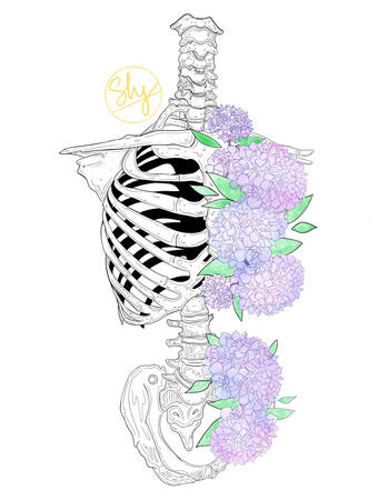 Hydrangea